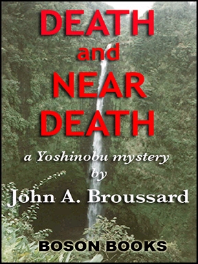 Cover image for Death and Near Death